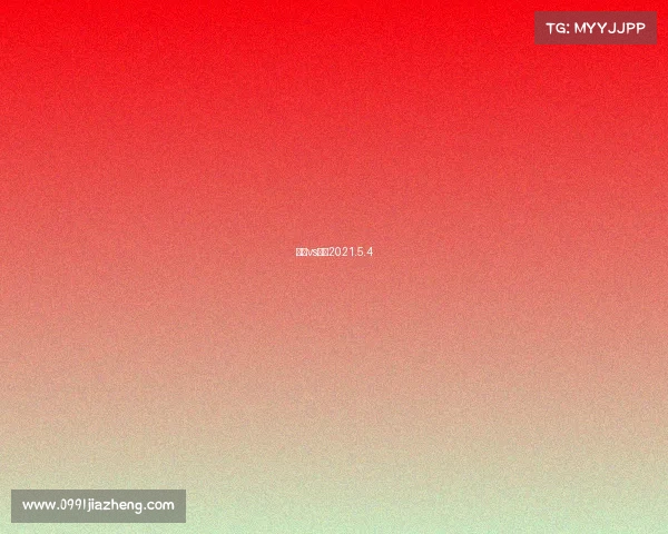 湖人vs掘金2021.5.4